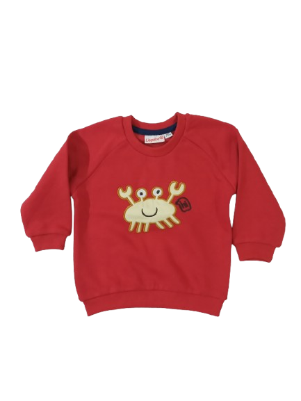 3-6 month Sweater/ Sweatshirt, S6804