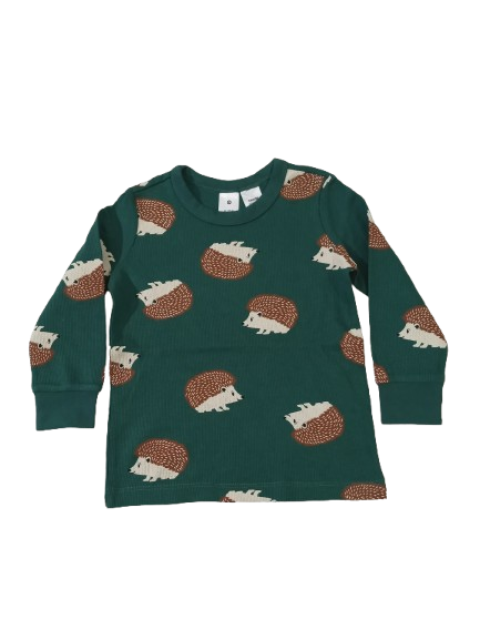 24-36 month Full Sleeve T-Shirts, FLTS9826