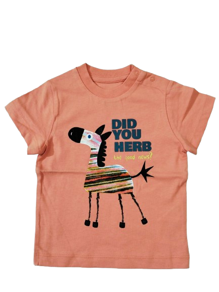9-12 month Tops/ T-Shirts, TS8034