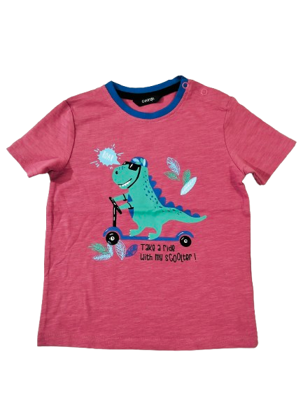 12-18 month Tops/ T-Shirts, TS8622