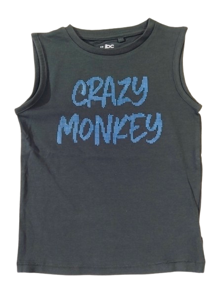 24-36 month Tops/ T-Shirts, TS3637