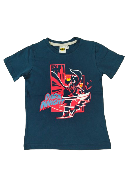 24-36 month Tops/ T-Shirts, TS3644