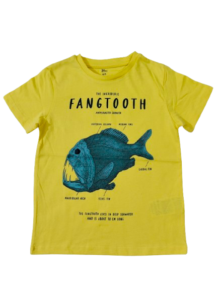 Tops/ T-Shirts, TS10412