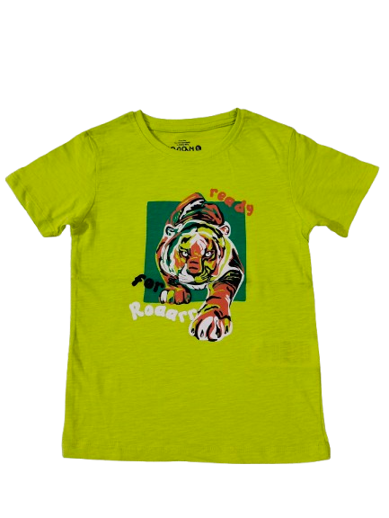 4 Years Tops/ T-Shirts, TS10421